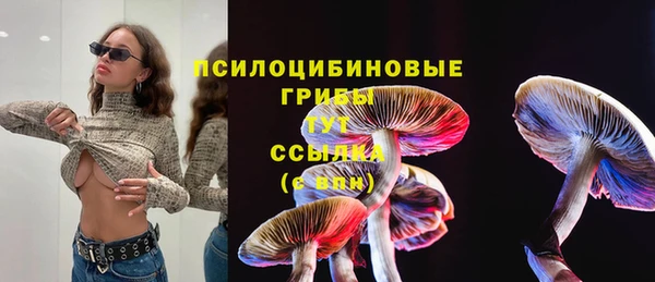 бутират Алзамай
