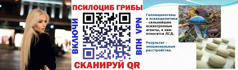 Галлюциногенные грибы Cubensis Кольчугино