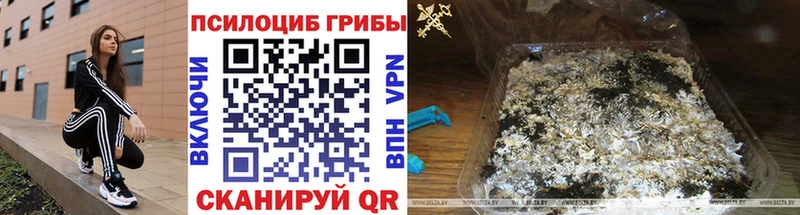 Галлюциногенные грибы Cubensis Кольчугино